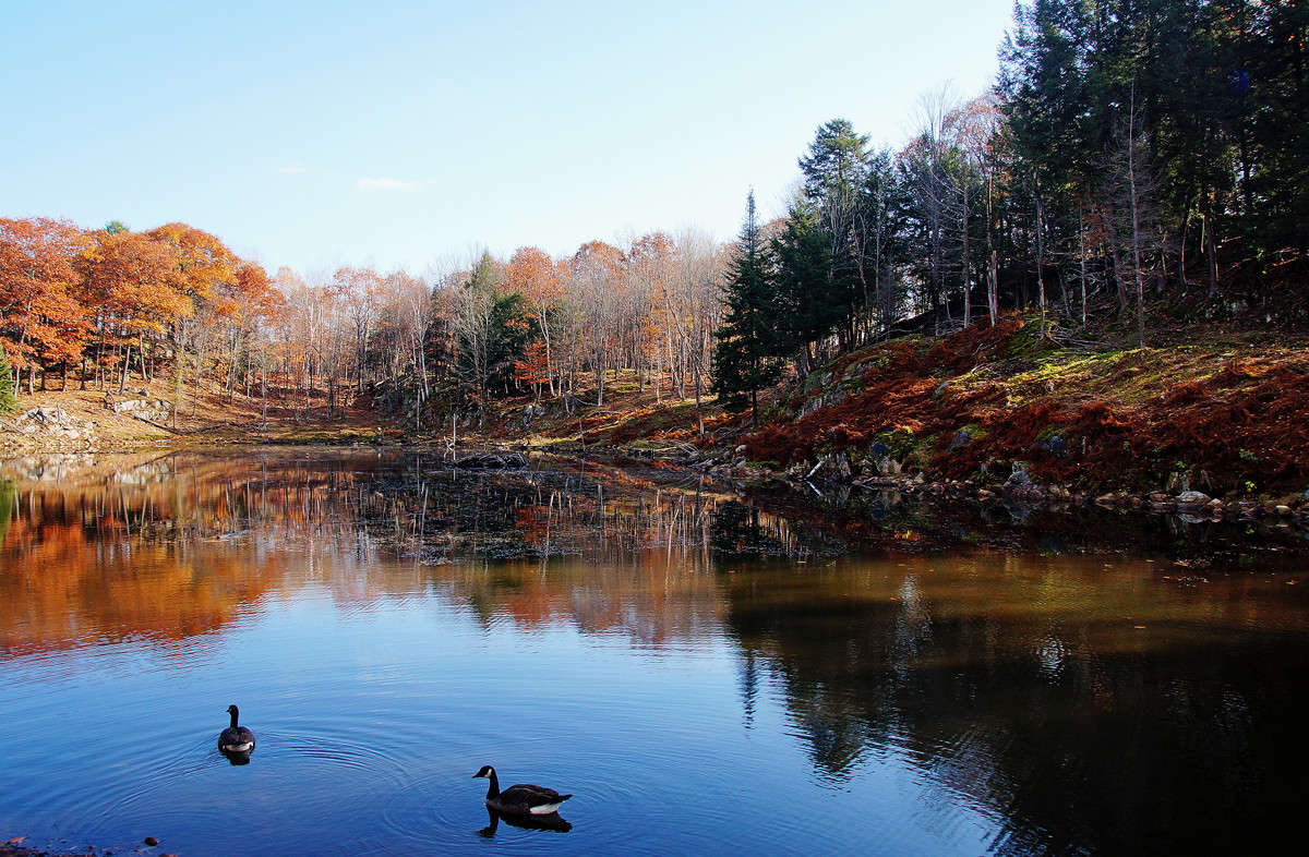 ���� ��� ���� � ��������! ����� �������  �� PhotoGeek.ru #������ ��� �������