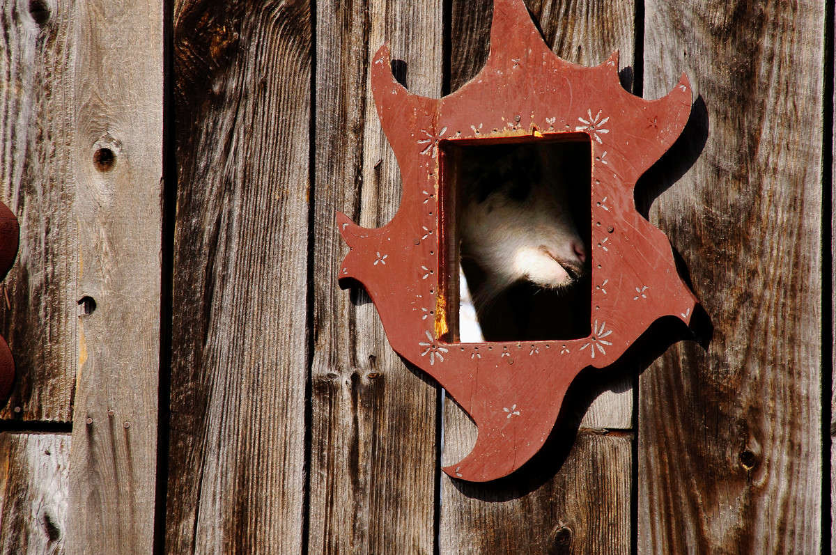 ���� �� ������ ����� �������  �� PhotoGeek.ru #�������� ��� #�������� ����������