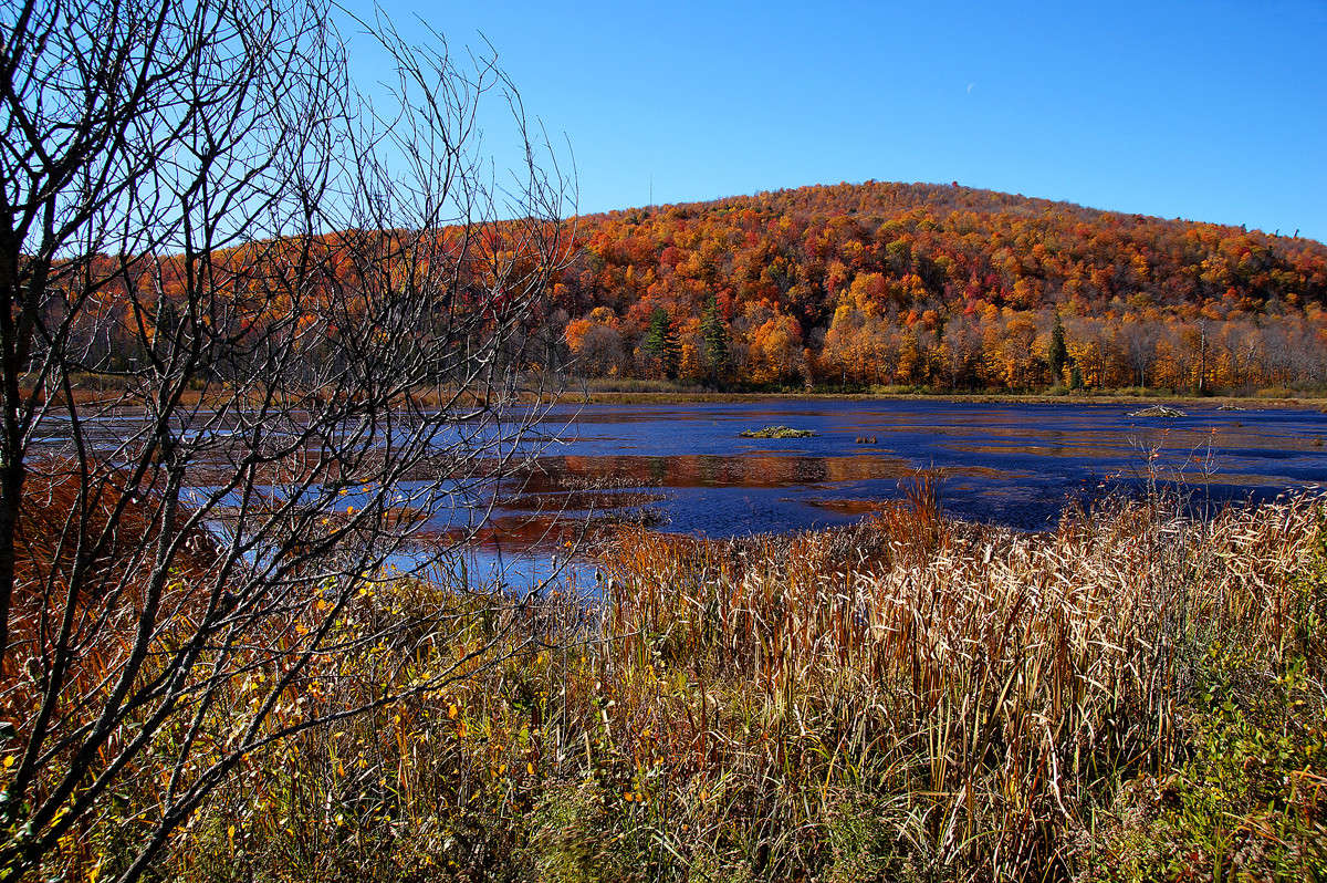 ����� ������ ����� �������  �� PhotoGeek.ru #������ ��� �������