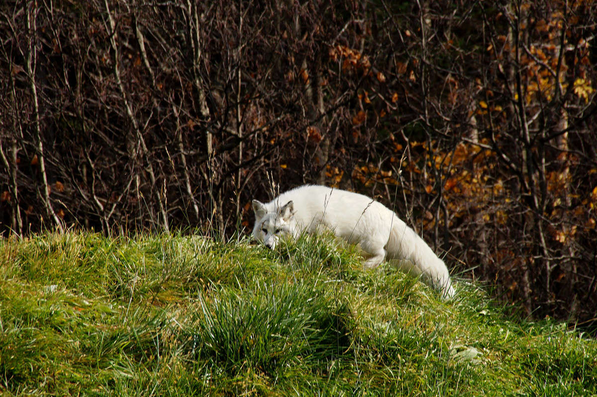 ������� ����� �������  �� PhotoGeek.ru #�������� ���