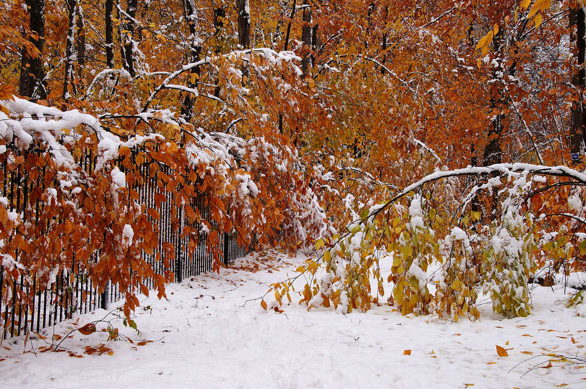 ����������� ����� �������  �� PhotoGeek.ru #������ ��� �������