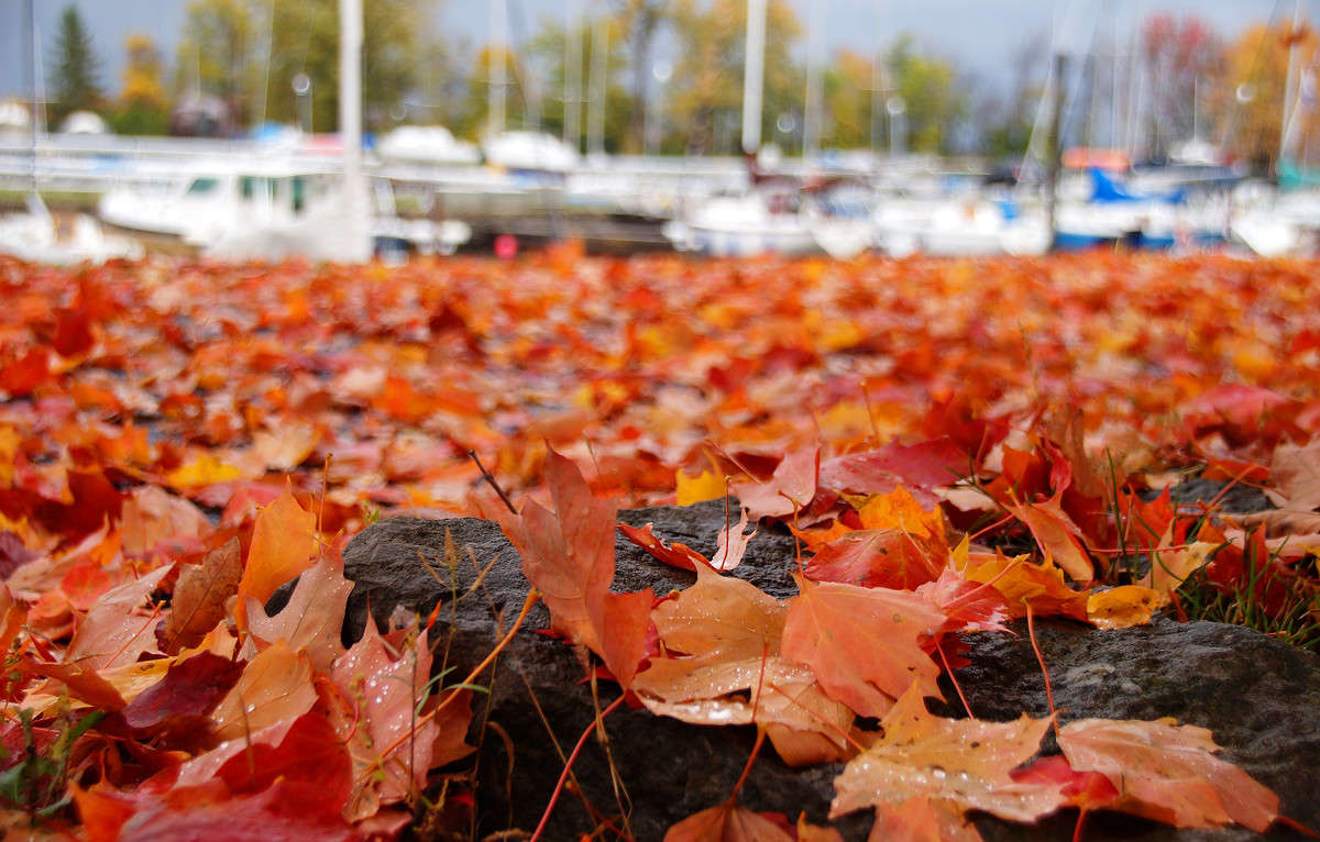 ������ ������ ����� �������  �� PhotoGeek.ru #������ ��� �������