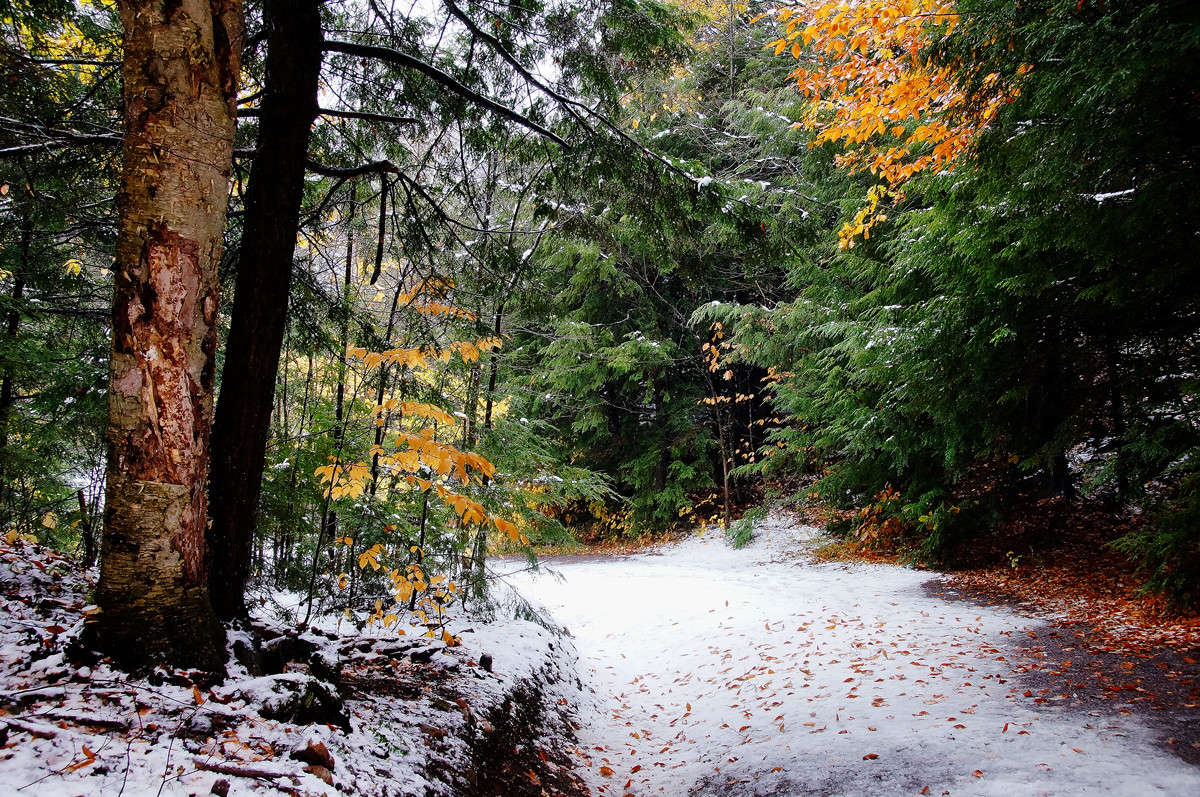 ��� ����� �������� ����� �������  �� PhotoGeek.ru #������ ��� �������