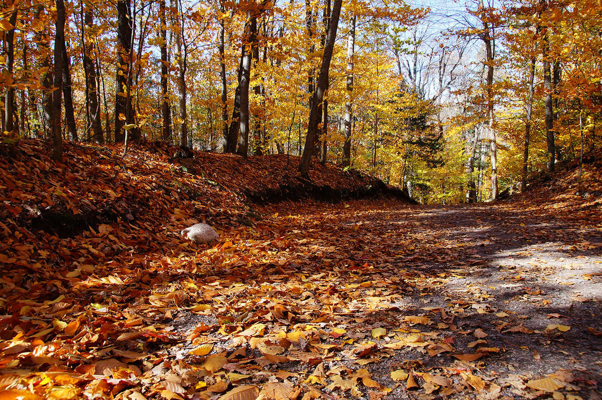 ������ � ����� �������� ����� �������  �� PhotoGeek.ru #������ ��� �������