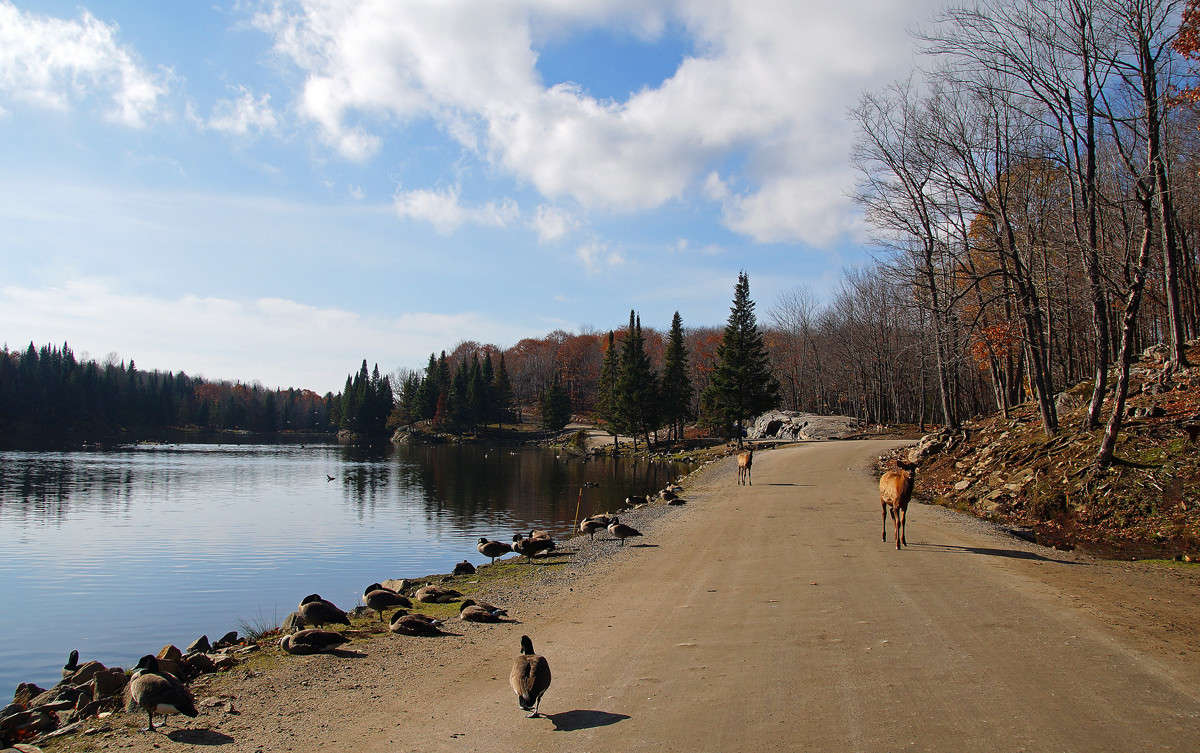 ���� ����������� ������ ����� �������  �� PhotoGeek.ru #������ ��� �������