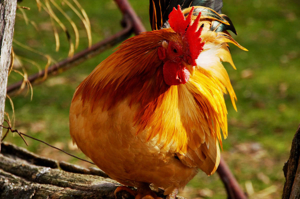 ��������� ����� �������  �� PhotoGeek.ru #�������� ���