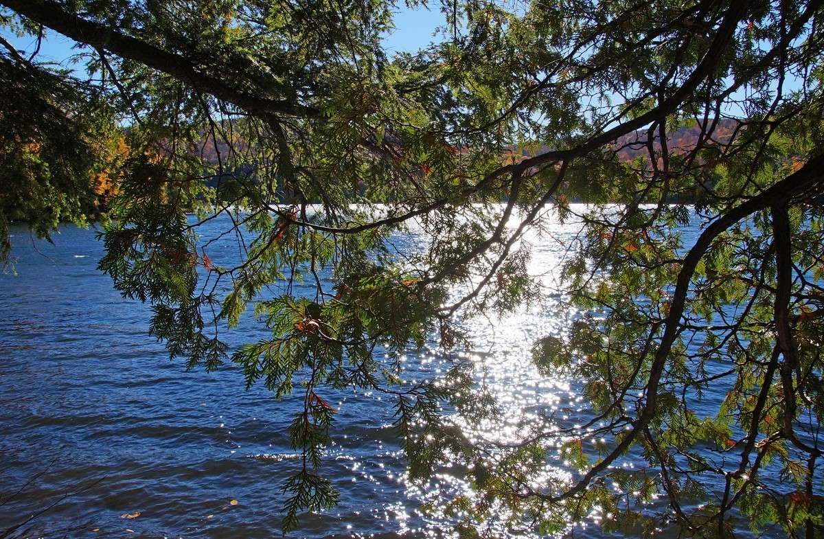 ����������� ����� �������  �� PhotoGeek.ru #������ ��� �������