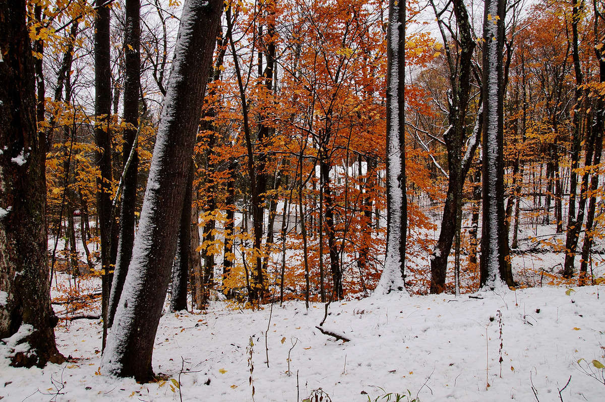 �������� ������ ����� �������  �� PhotoGeek.ru #������ ��� �������