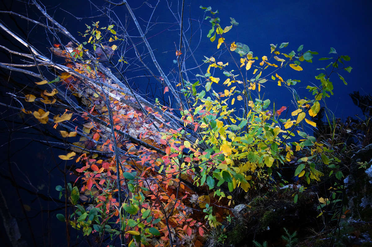 ���� ����� ����� �������  �� PhotoGeek.ru #������ ��� �������