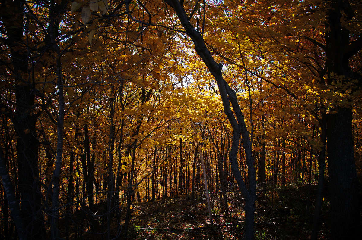 ������� ������� ����� �������  �� PhotoGeek.ru #������ ��� �������