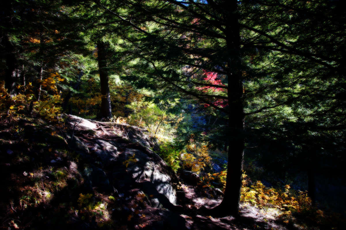 �� ������ ��� � ������ ������ ����� �������  �� PhotoGeek.ru #������ ��� �������