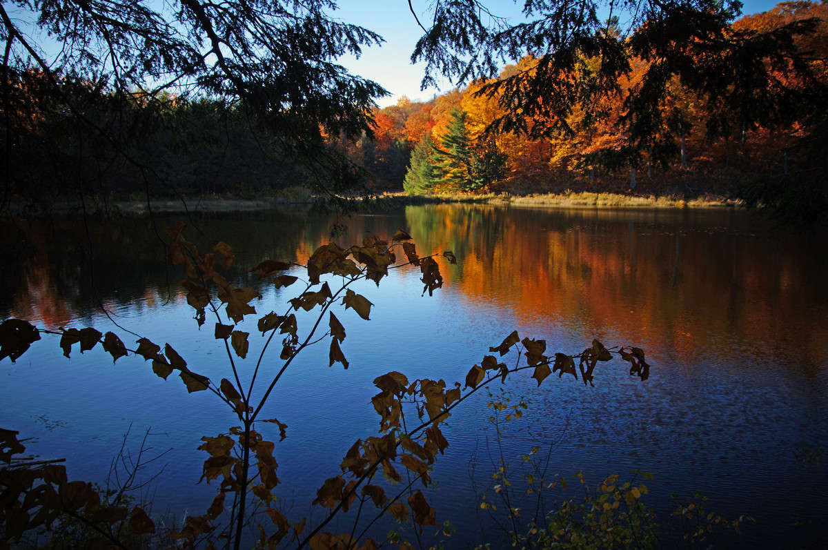 ����� ���� ����� �������  �� PhotoGeek.ru #������ ��� �������