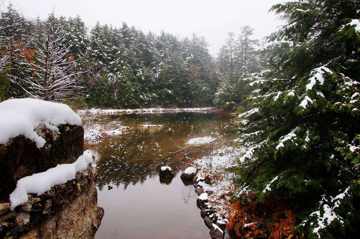 ����� ���� � ���������� ����� �������  �� PhotoGeek.ru #������ ��� �������