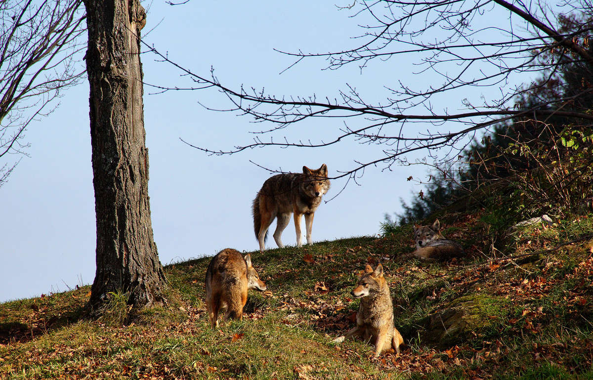 �������� ����� �������  �� PhotoGeek.ru #�������� ���