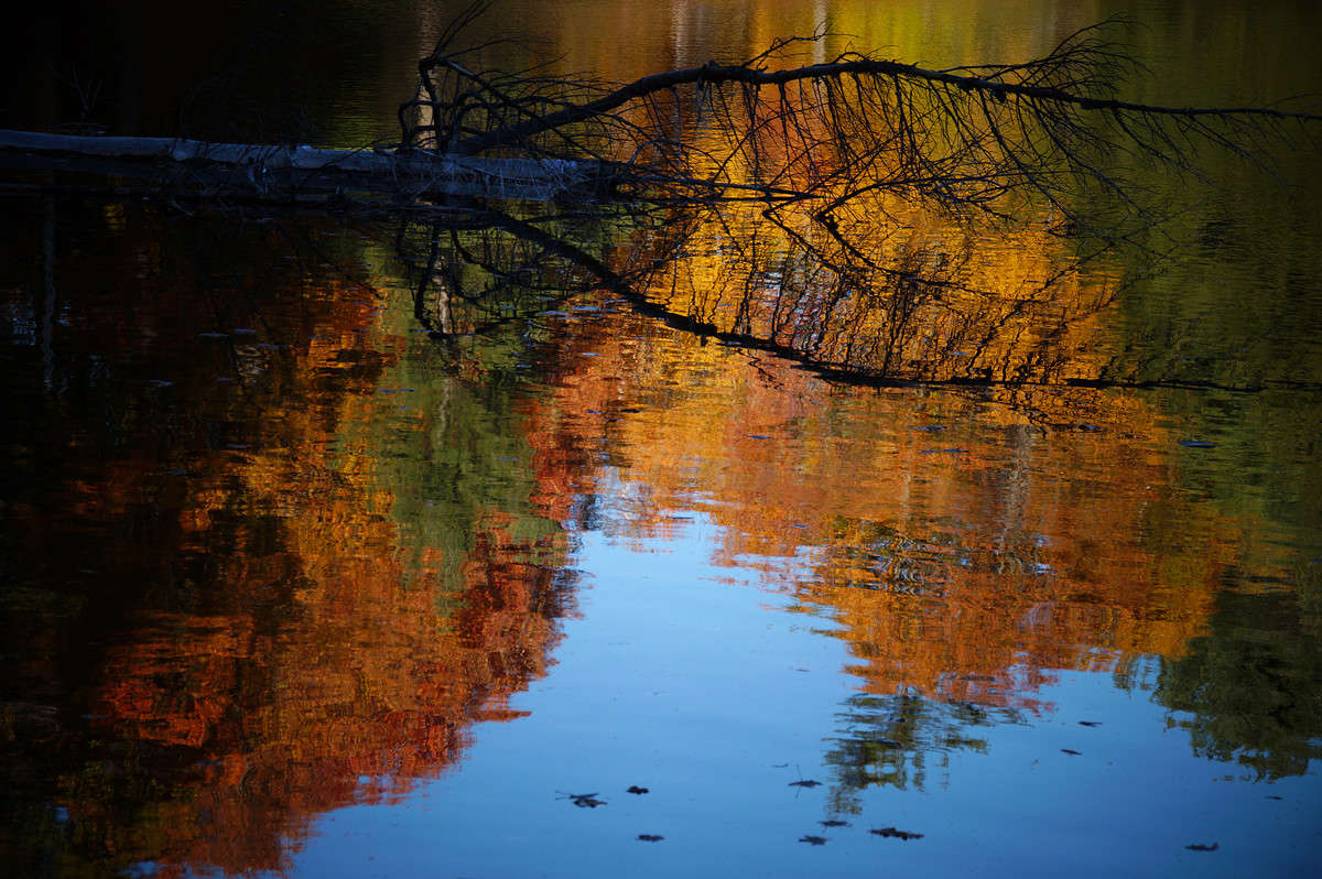 ������������� ����� �������  �� PhotoGeek.ru #������ ��� �������