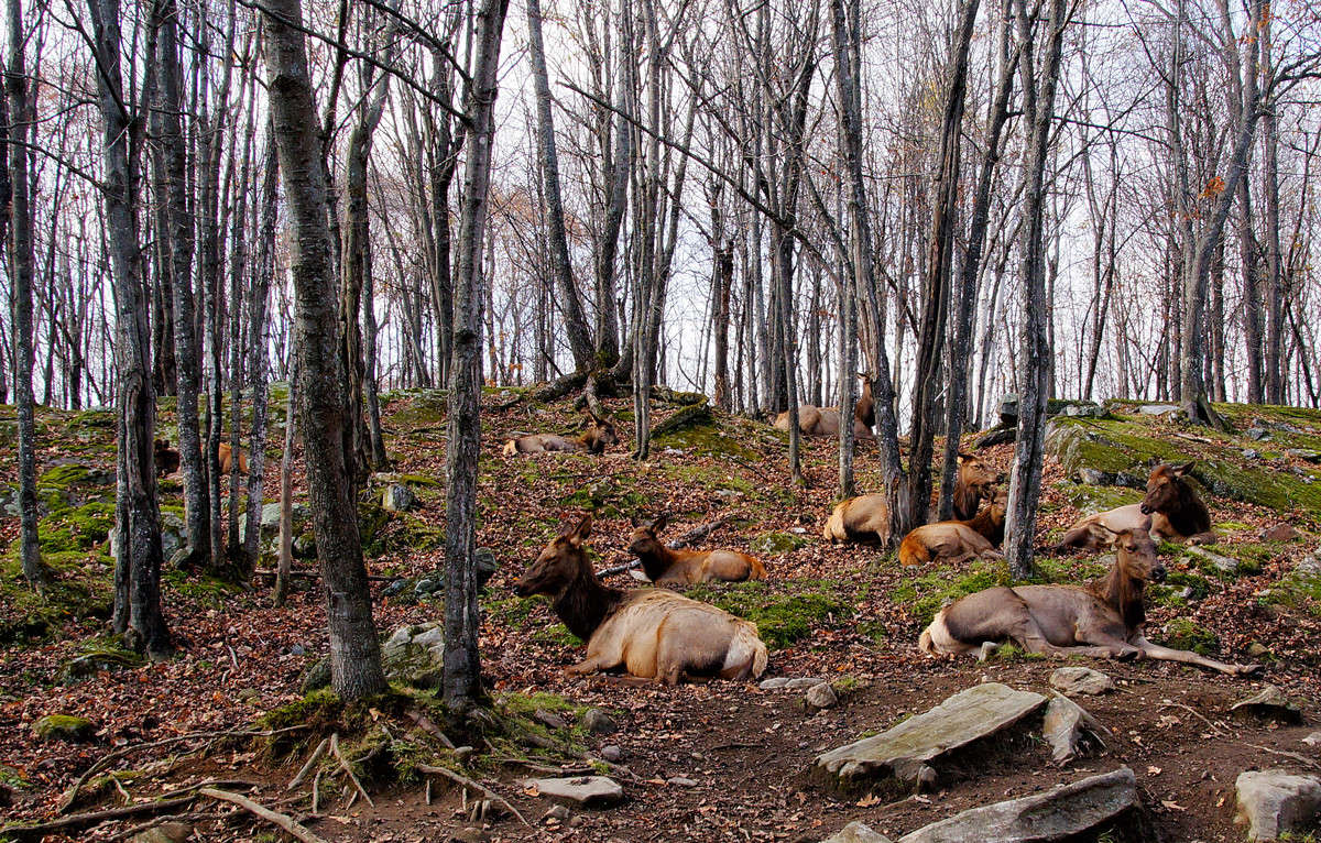 ��������� ���������� � ���� ����� �������  �� PhotoGeek.ru #�������� ��� #������ ��� �������