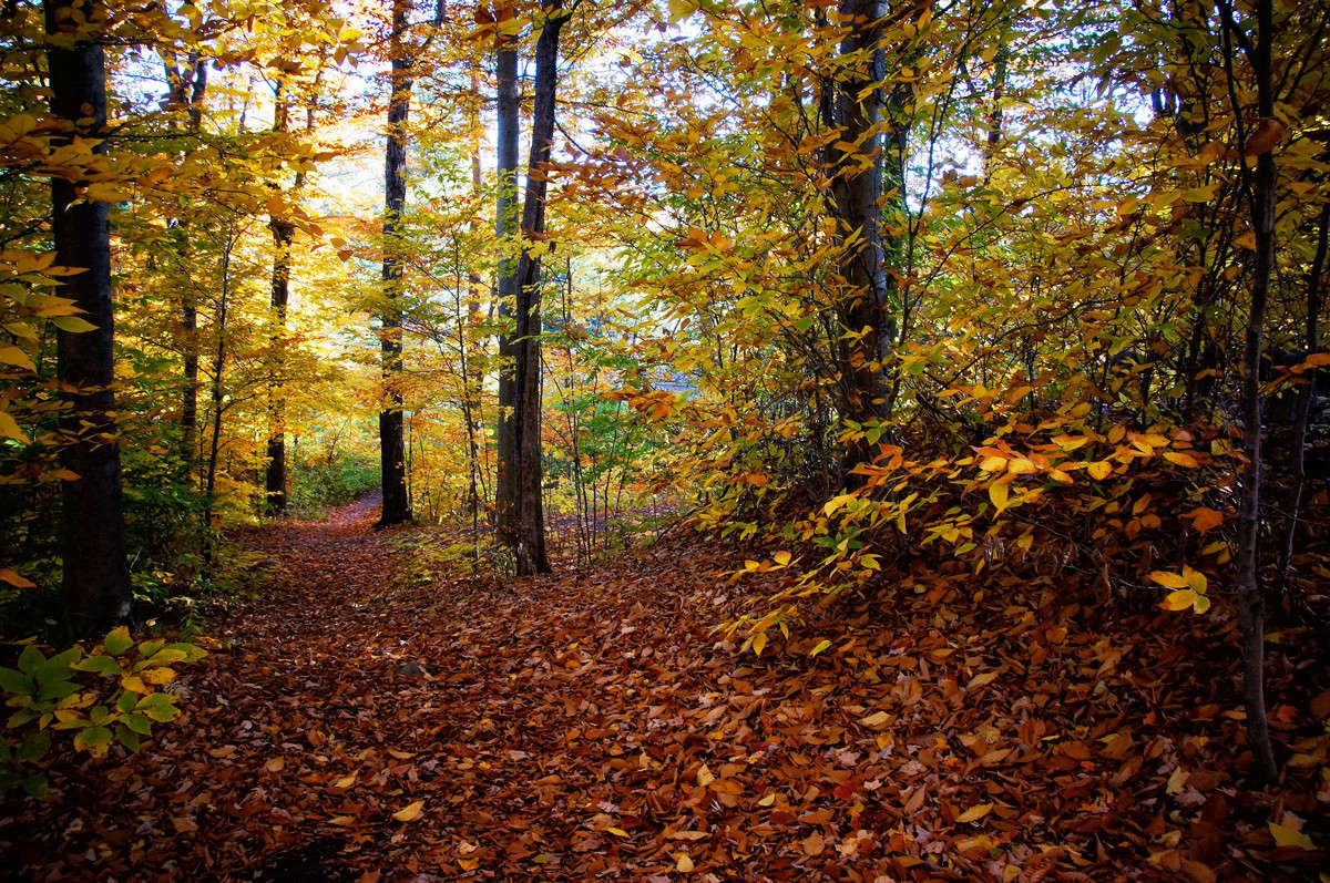 ���� ������� ����� �������  �� PhotoGeek.ru #������ ��� �������