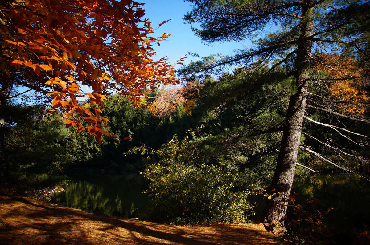 ������ ����� ����� �������  �� PhotoGeek.ru #������ ��� �������