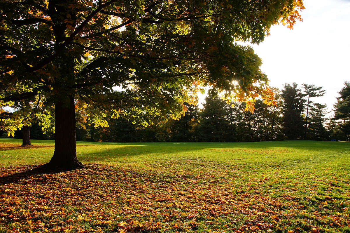 ������ ������� ����� �������  �� PhotoGeek.ru #������ ��� �������