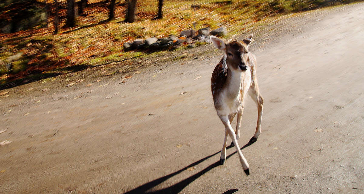 �� ��������� ���� ����� �������  �� PhotoGeek.ru #�������� ���