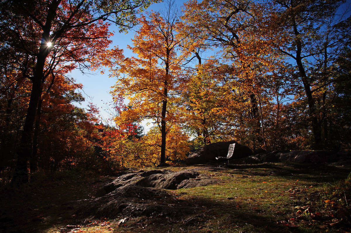 ����������������� ����� �������  �� PhotoGeek.ru #������ ��� �������