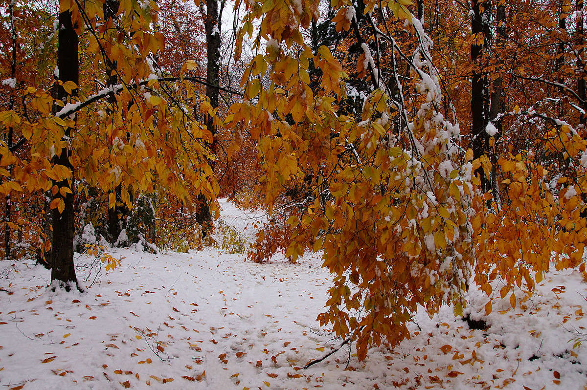 ������ ����� �������  �� PhotoGeek.ru #������ ��� �������