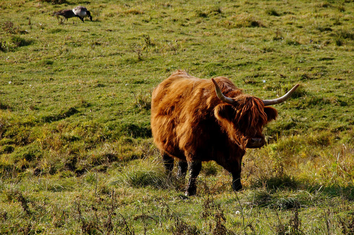 �� ��� ��� �� �����? ����� �������  �� PhotoGeek.ru #�������� ���