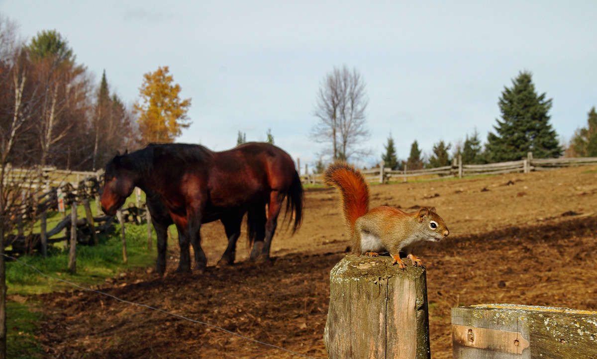 �������������� ����� �������  �� PhotoGeek.ru #�������� ���