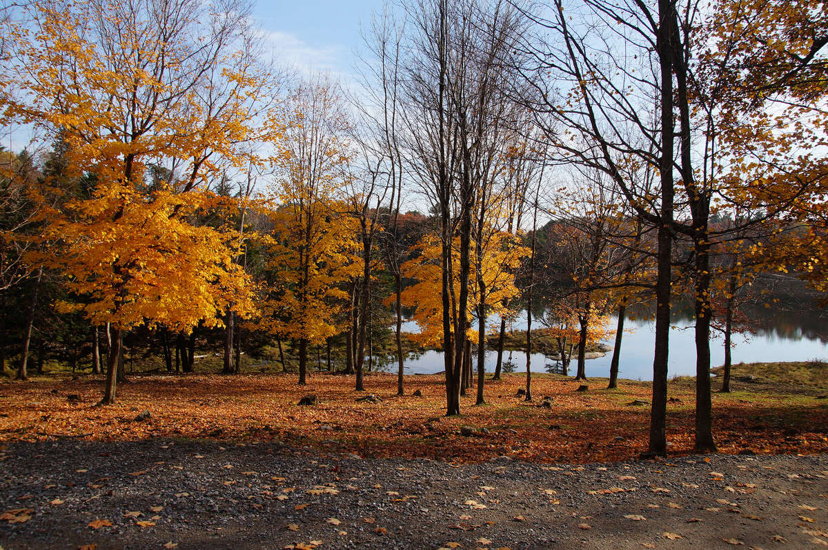 ��������� ����� �������  �� PhotoGeek.ru #������ ��� �������