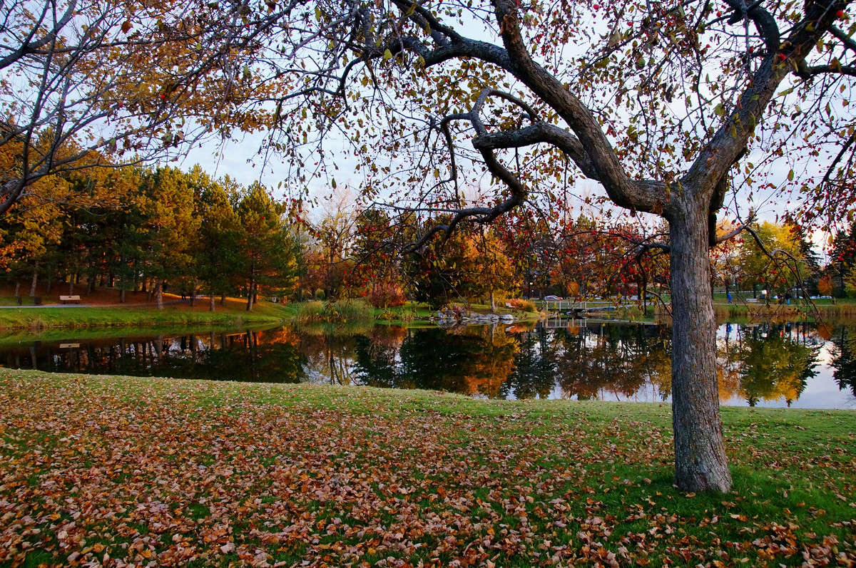 ����������� ����� �������  �� PhotoGeek.ru #������ ��� �������