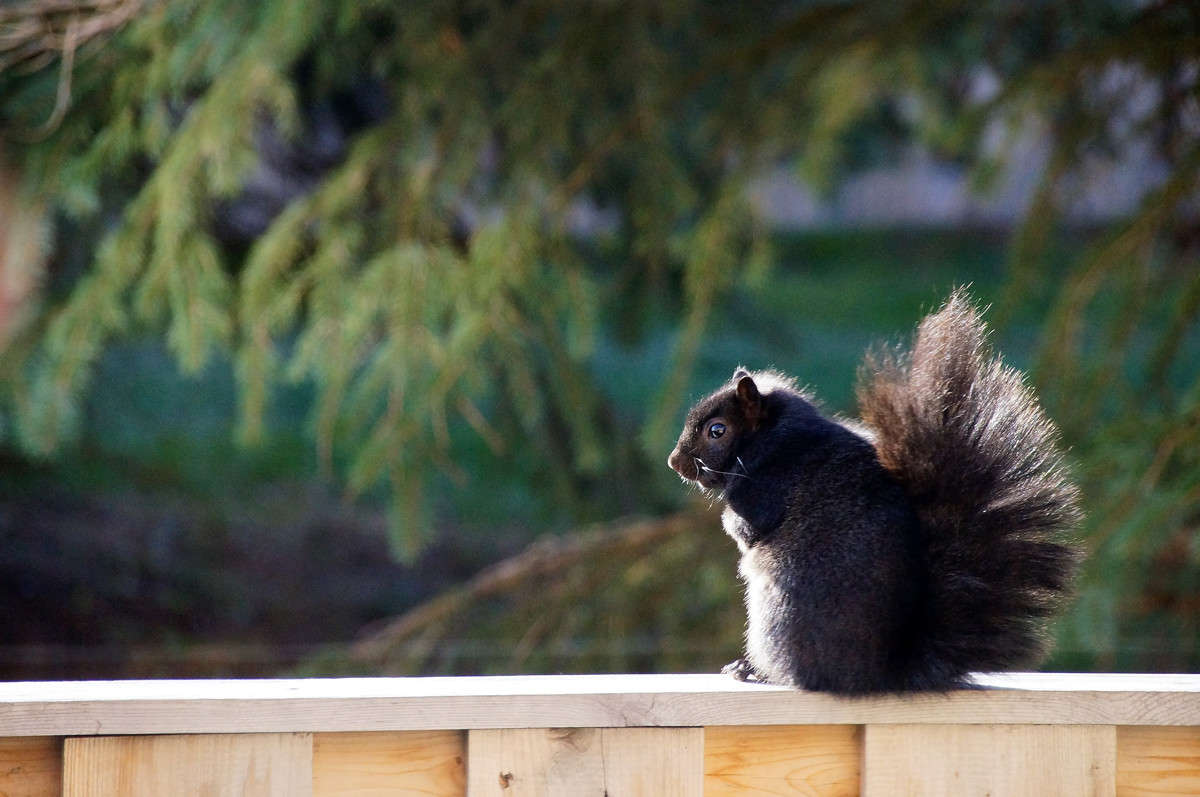 �� ��� ������ ����� ����� �������  �� PhotoGeek.ru #�������� ���