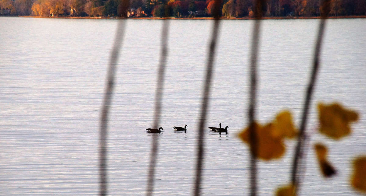 ������������������ ����� �������  �� PhotoGeek.ru #�������� ��� #������ ��� �������