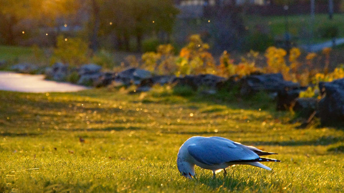 ��������������� ����� �������  �� PhotoGeek.ru #�������� ��� #������ ��� �������