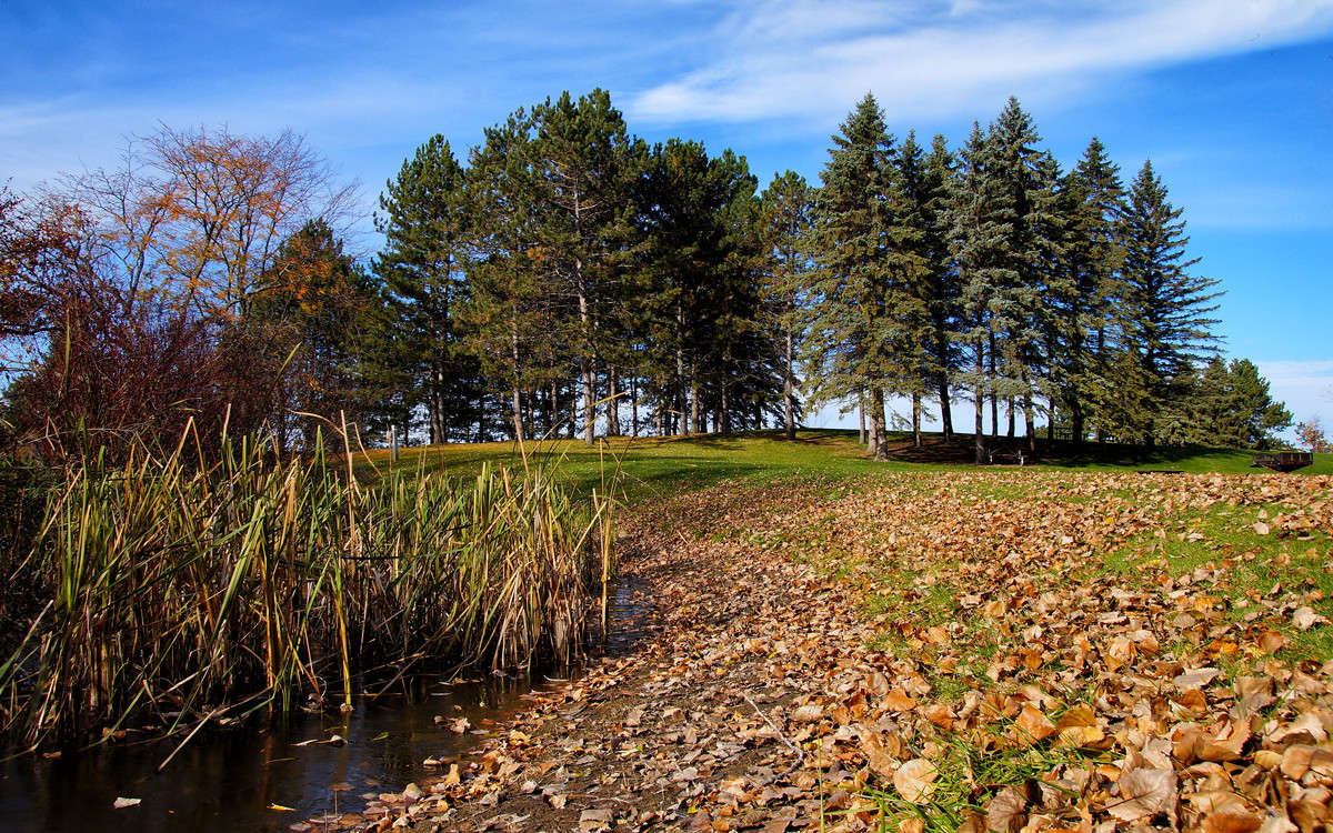 ������ ����� ����� �������  �� PhotoGeek.ru #������ ��� �������