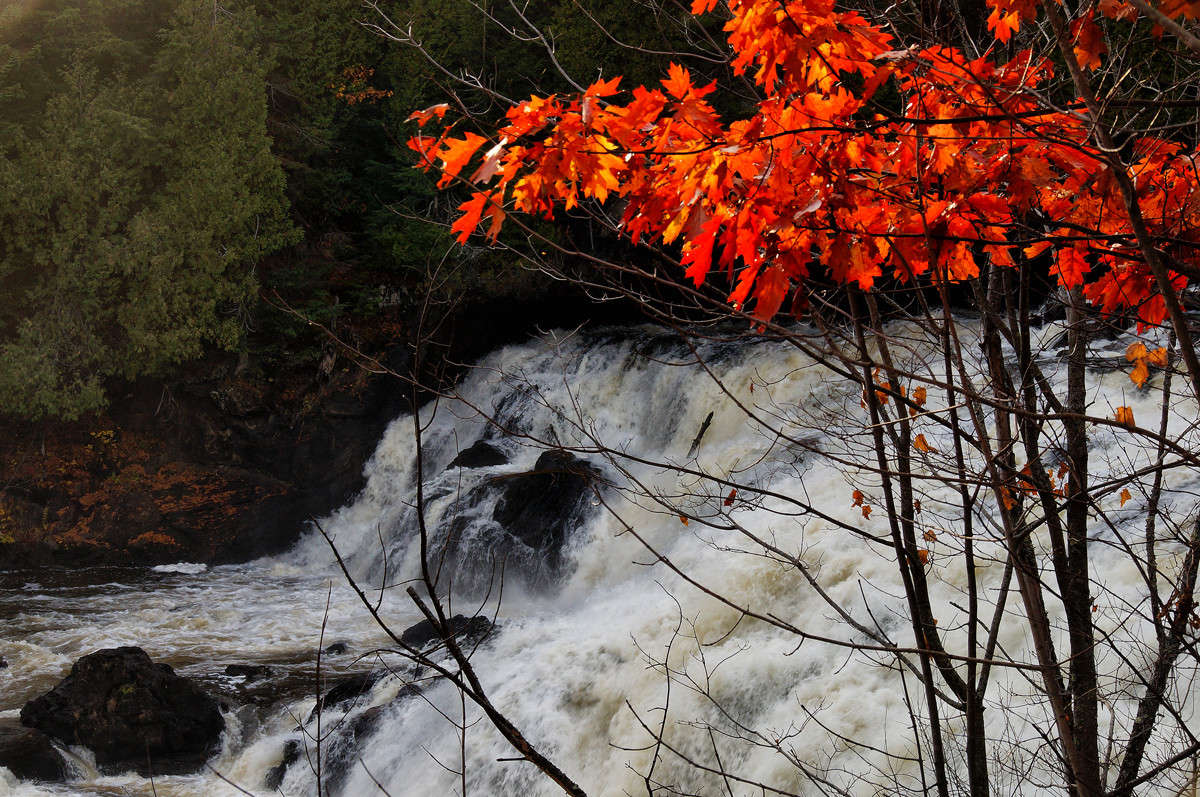 �������� ������ ����� �������  �� PhotoGeek.ru #������ ��� �������