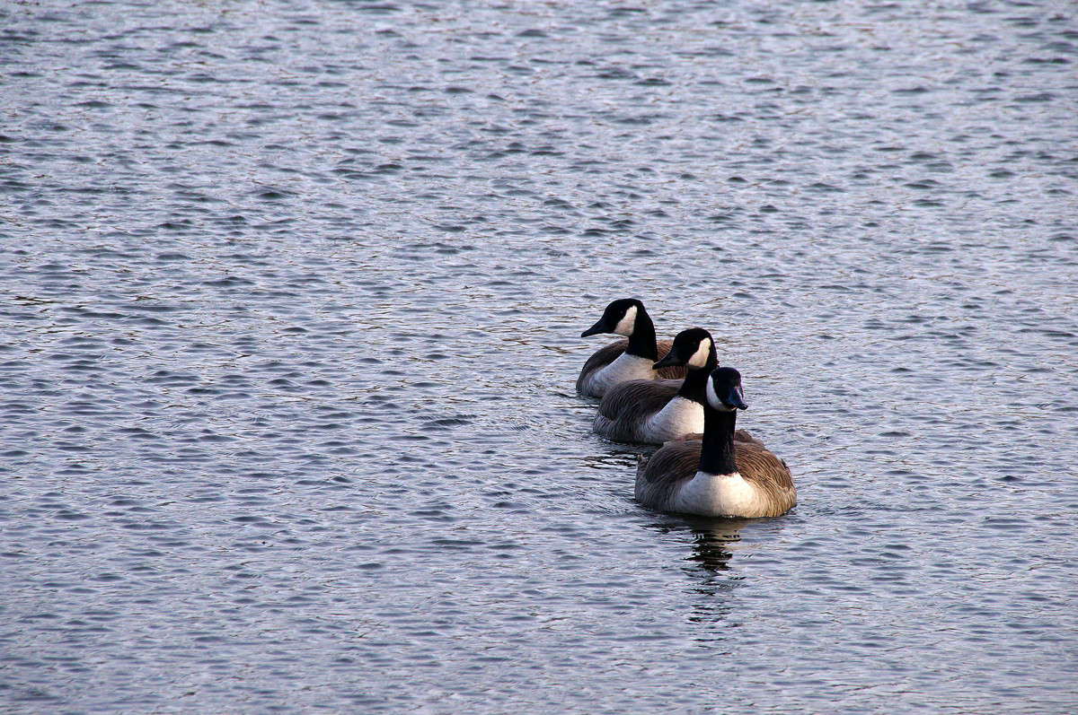 � ���������� ����� �������  �� PhotoGeek.ru #�������� ���