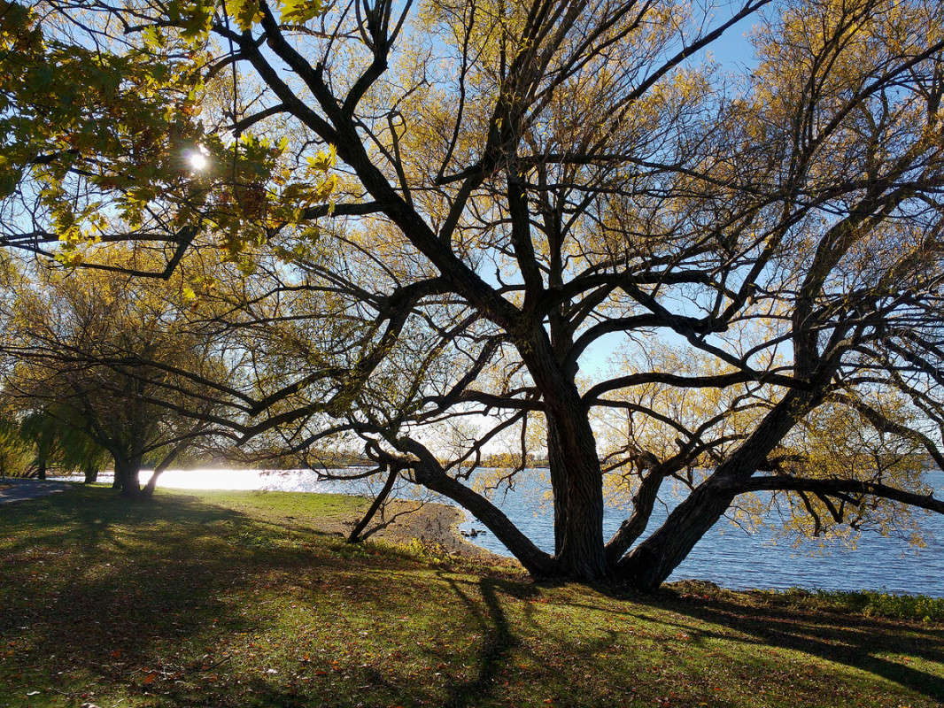 ������� �������� ����� �������  �� PhotoGeek.ru #������ ��� �������