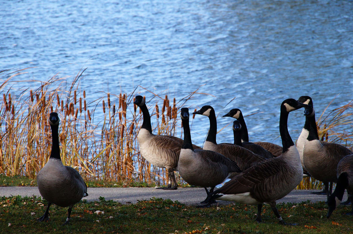 ˸���� ������������� ����� ������ ����� �������  �� PhotoGeek.ru #�������� ���