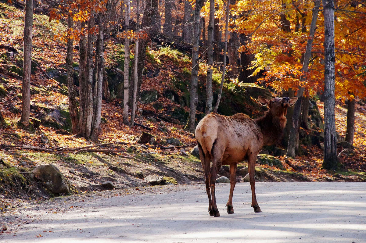 ������ ������� ����� �������  �� PhotoGeek.ru #�������� ���