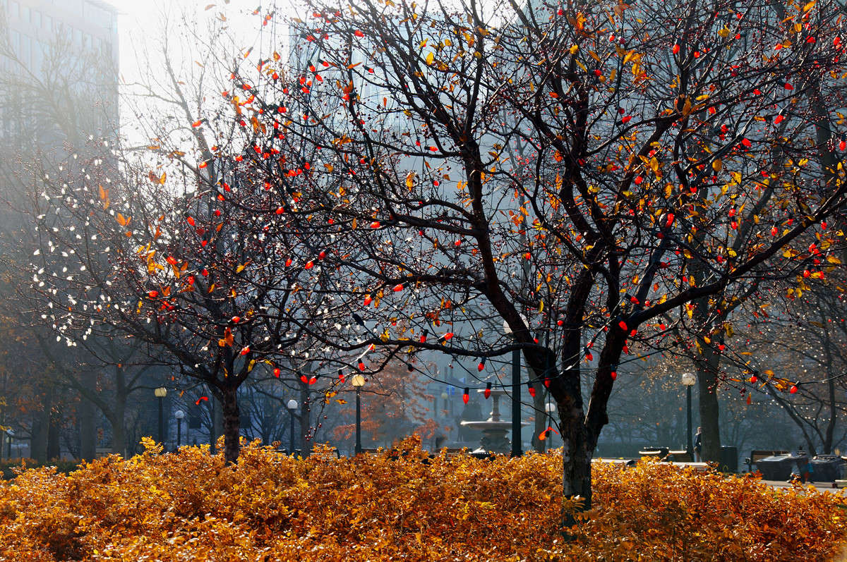 ��������� �� ���� ����� �������  �� PhotoGeek.ru #����� #�������� ����������