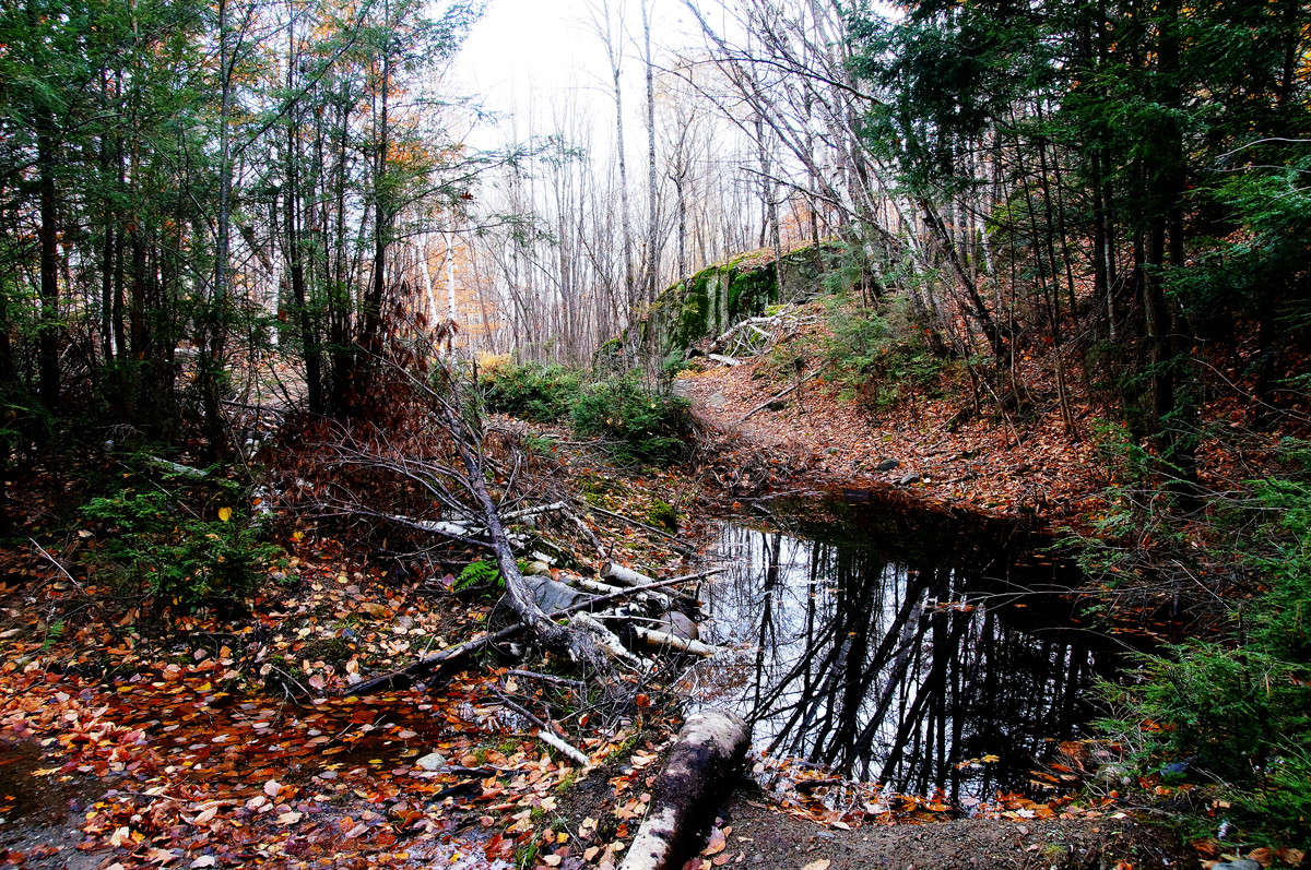 ����� ������ �� ����� ����� ����� �������  �� PhotoGeek.ru #������ ��� �������