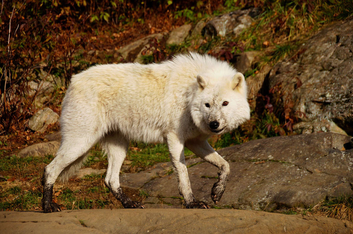 � ����� ����� �������  �� PhotoGeek.ru #�������� ���