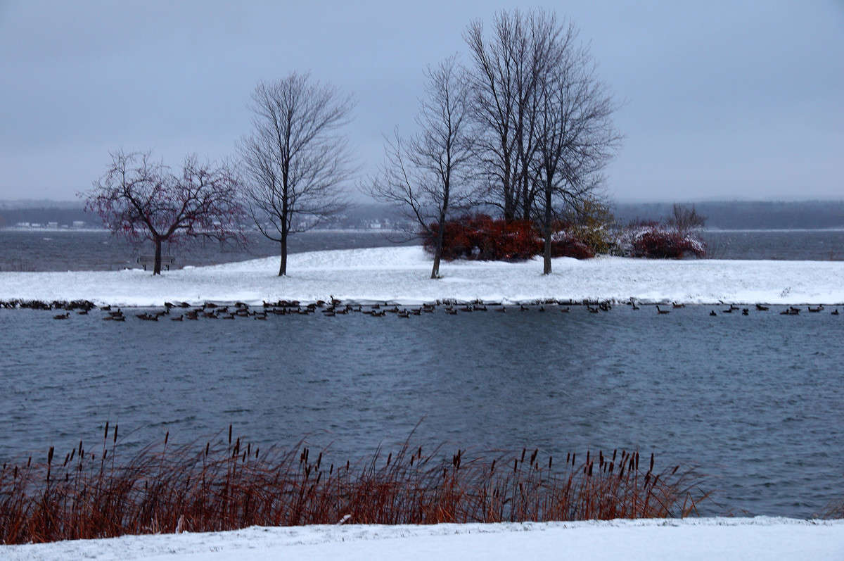 ������ ������ ����� �������  �� PhotoGeek.ru #������ ��� �������