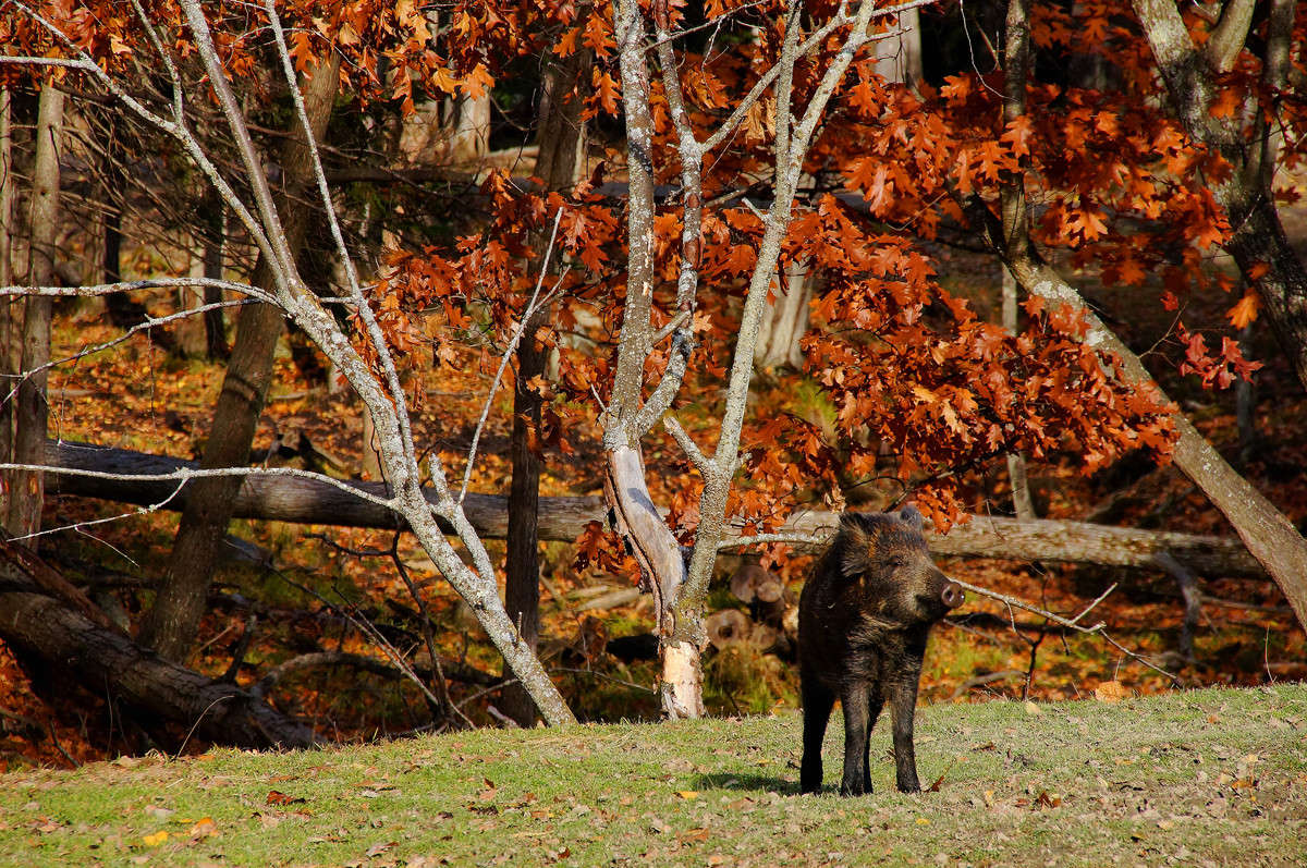 ���������� ����� ����� �������  �� PhotoGeek.ru #�������� ���