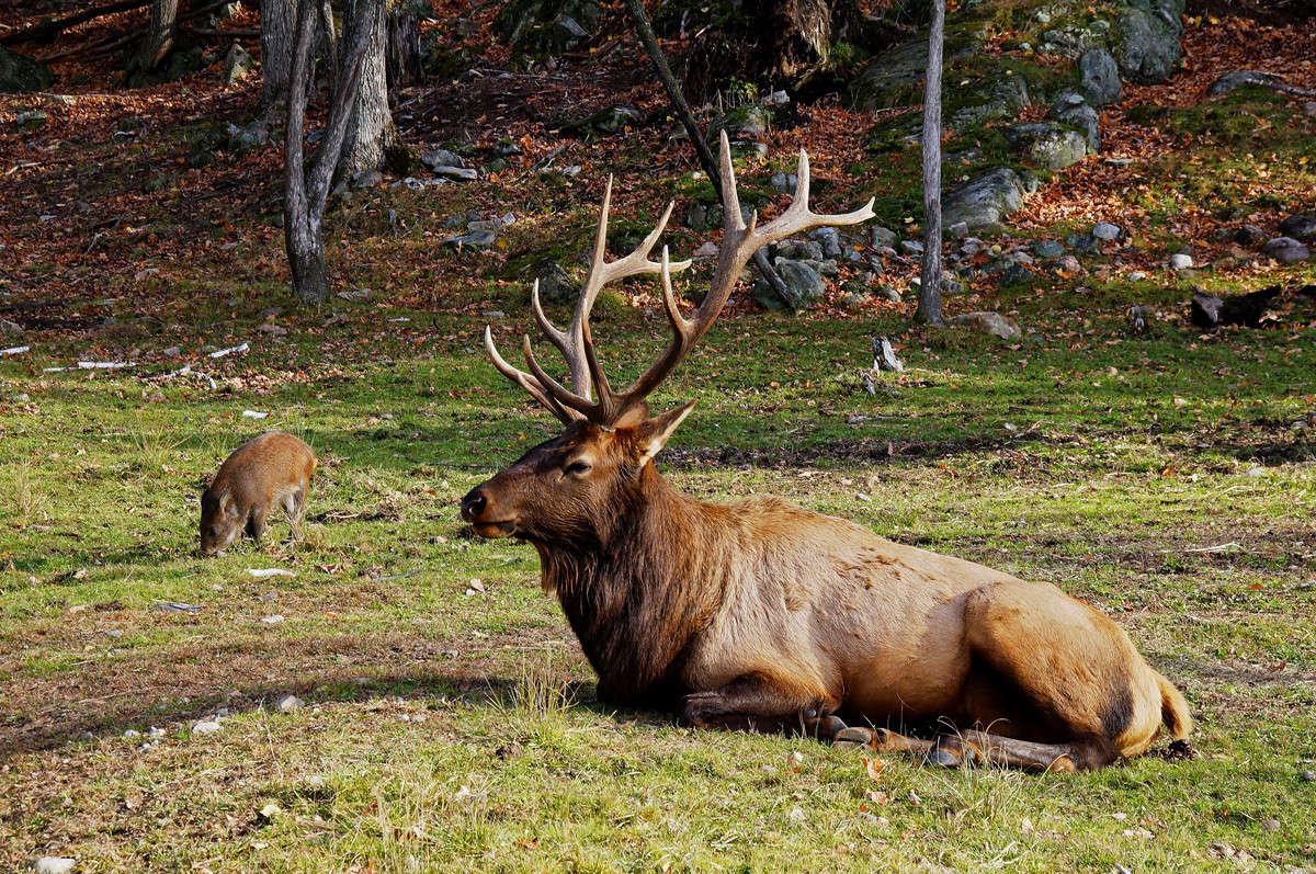 ����� �������� �� ������ ����� �������  �� PhotoGeek.ru #�������� ���