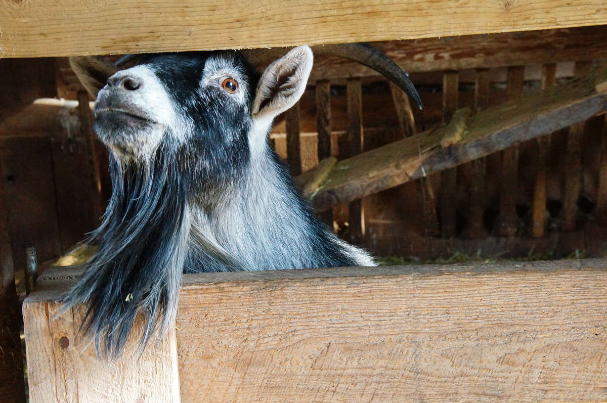 �����������, ������! ����� �������  �� PhotoGeek.ru #�������� ���