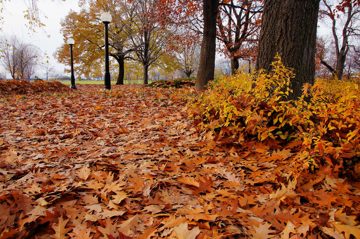 �������� ������� ����� �������  �� PhotoGeek.ru #�����