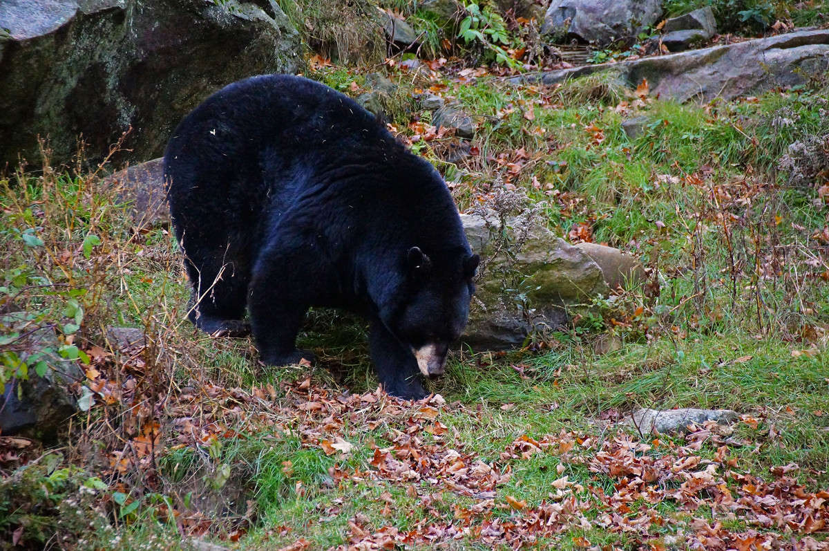 � ���� ����� �������  �� PhotoGeek.ru #�������� ���