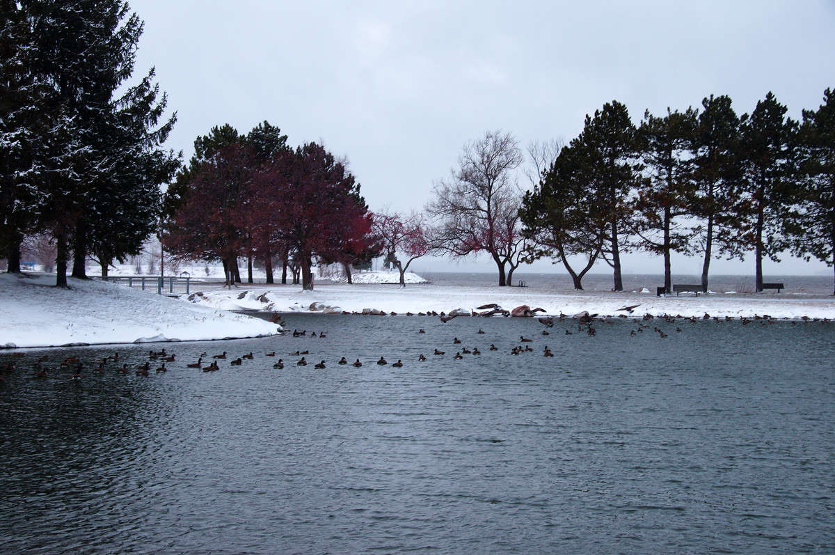 ������� � ��� ������ �������� ����� �������  �� PhotoGeek.ru #������ ��� �������