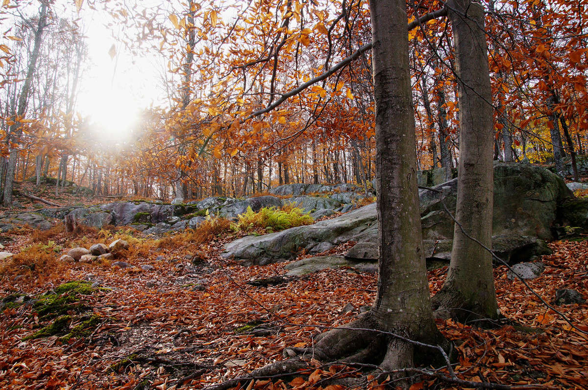 �������� �� ����� ���������... ����� �������  �� PhotoGeek.ru #������ ��� �������